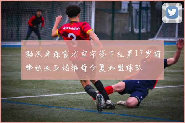 勒沃库森官方宣布签下红星17岁前锋达米亚诺维奇今夏加盟球队
