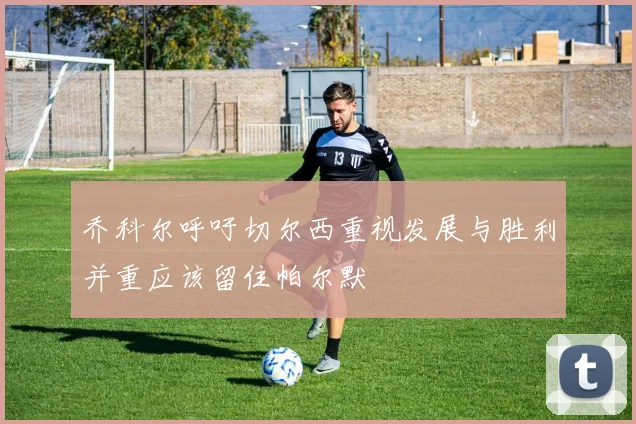 乔科尔呼吁切尔西重视发展与胜利并重应该留住帕尔默