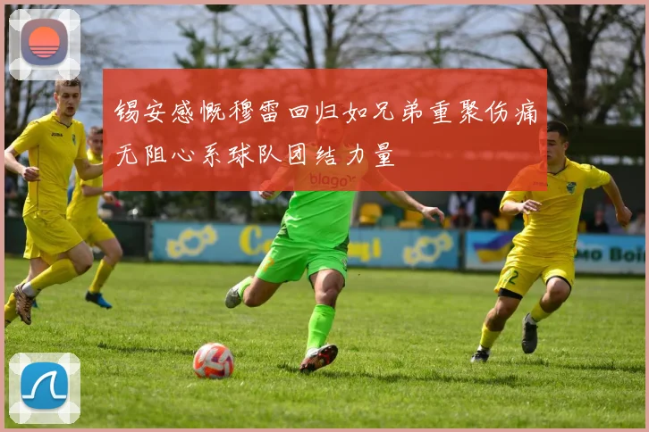 锡安感慨穆雷回归如兄弟重聚伤痛无阻心系球队团结力量