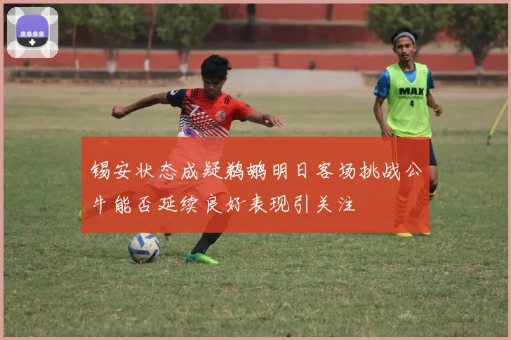 锡安状态成疑鹈鹕明日客场挑战公牛能否延续良好表现引关注